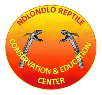 NdlondloCompanyLogo