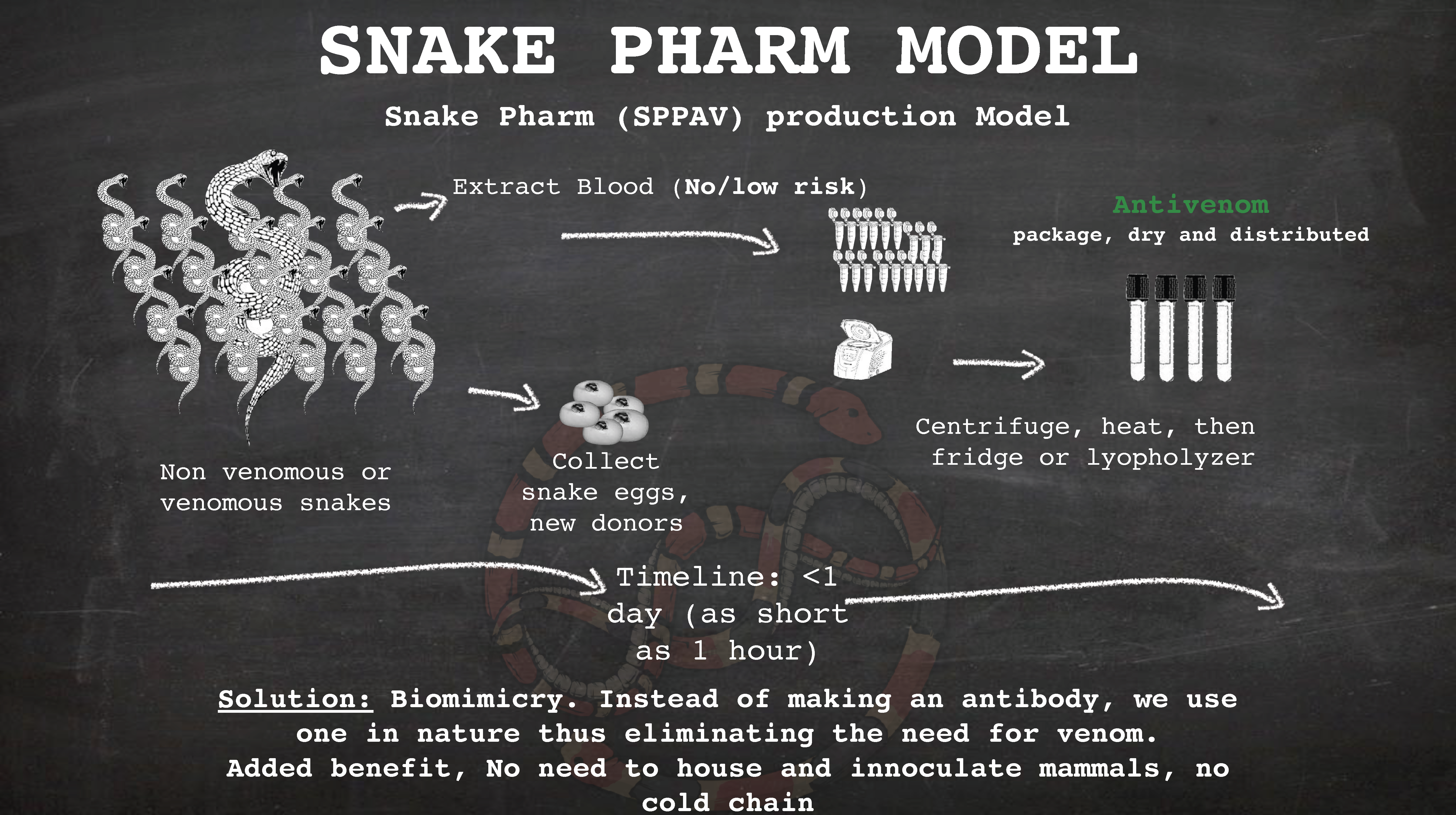 Snake Pharm Model
